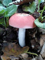 blog080914_3.jpg