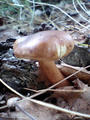 blog080914_5.jpg