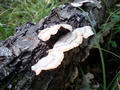 blog080914_6.jpg