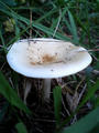 blog080914_7.jpg