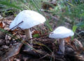 blog080914_8.jpg