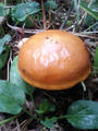 blog080914_9.jpg