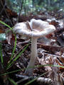 blog080914_10.jpg