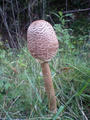blog080914_11.jpg