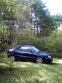 blog080915_1.jpg
