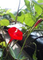 blog080919_1.jpg