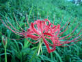 blog080923_1.jpg