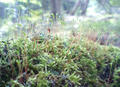 blog080926_1.jpg