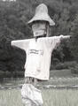 blog081001_1.jpg