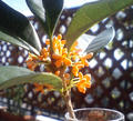blog081016_1.jpg
