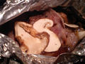 blog081017_4.jpg