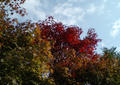 blog081018_2.jpg