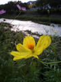 blog081021_1.jpg