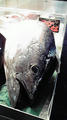 blog081023_1.jpg