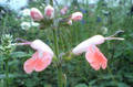 blog081026_1.jpg