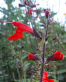 blog081026_2.jpg