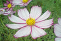 blog081026_3.jpg
