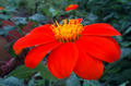 blog081027_1.jpg
