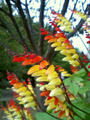 blog081101.jpg