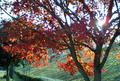 blog081102_3.jpg