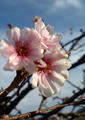 blog081102_4.jpg