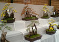 blog081103_2.jpg