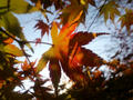 blog081123_3.jpg
