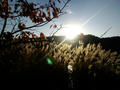 blog081123_4.jpg