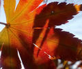 blog081123_1.jpg