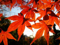 blog081129_3.jpg