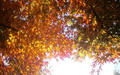 blog081214_1.jpg