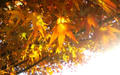 blog081214_2.jpg