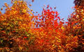 blog081214_3.jpg