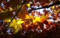 blog081214_4.jpg