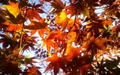 blog081214_5.jpg
