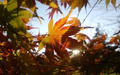 blog081214_6.jpg