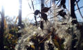 blog081225_1.jpg