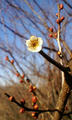 blog090110.jpg