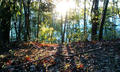 blog090113_1.jpg