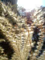 blog090114_1.jpg