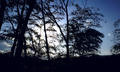 blog090130.jpg