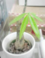 blog090215_1.jpg