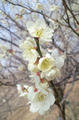 blog0900229.jpg