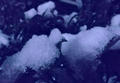 blog090303_1.jpg