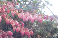 blog090314_1.jpg