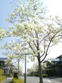 blog090320_2.jpg