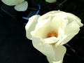 blog090320_3.jpg