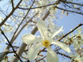 blog090320_4.jpg