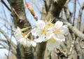blog090320_5.jpg
