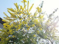 blog090324_1.jpg
